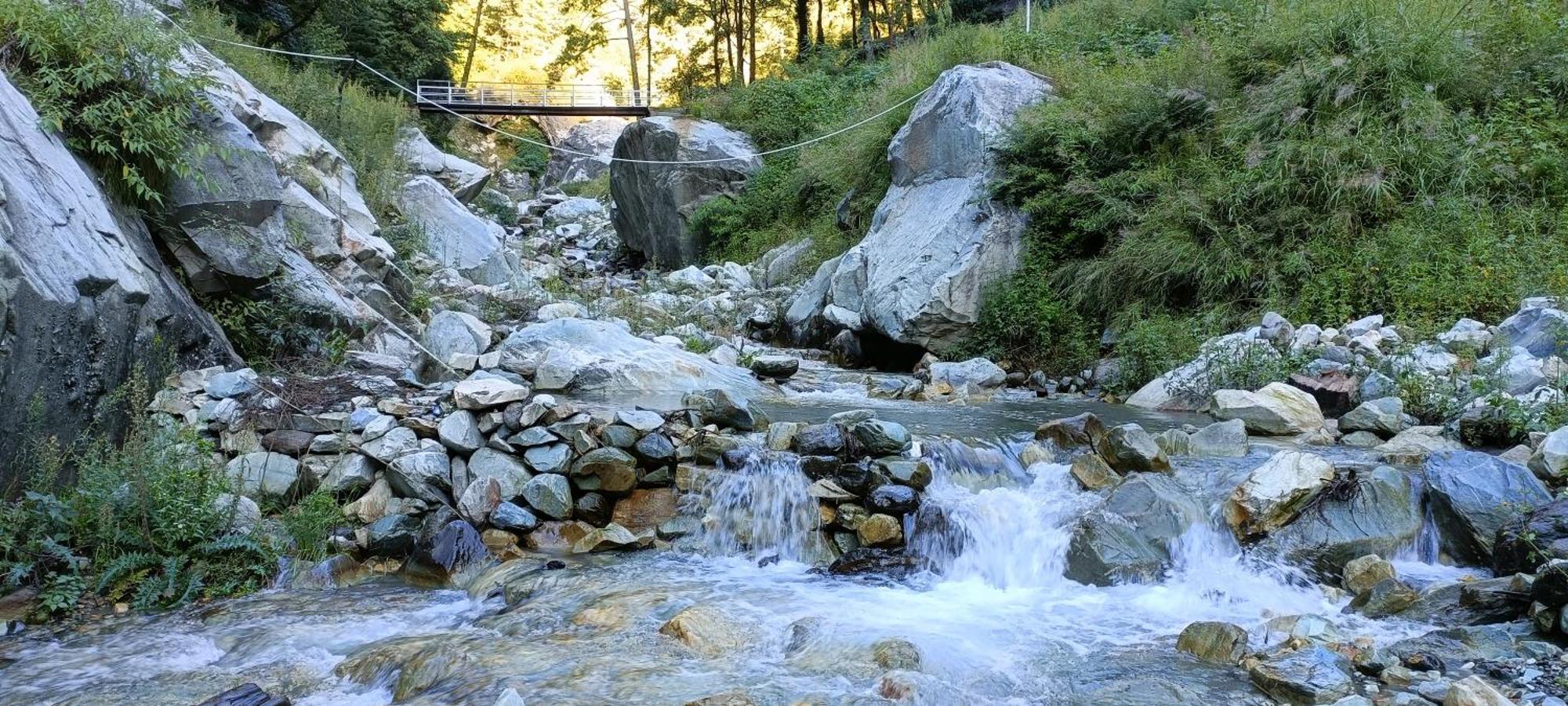 Hotel Dog N Hill Kasol Zewnętrze zdjęcie