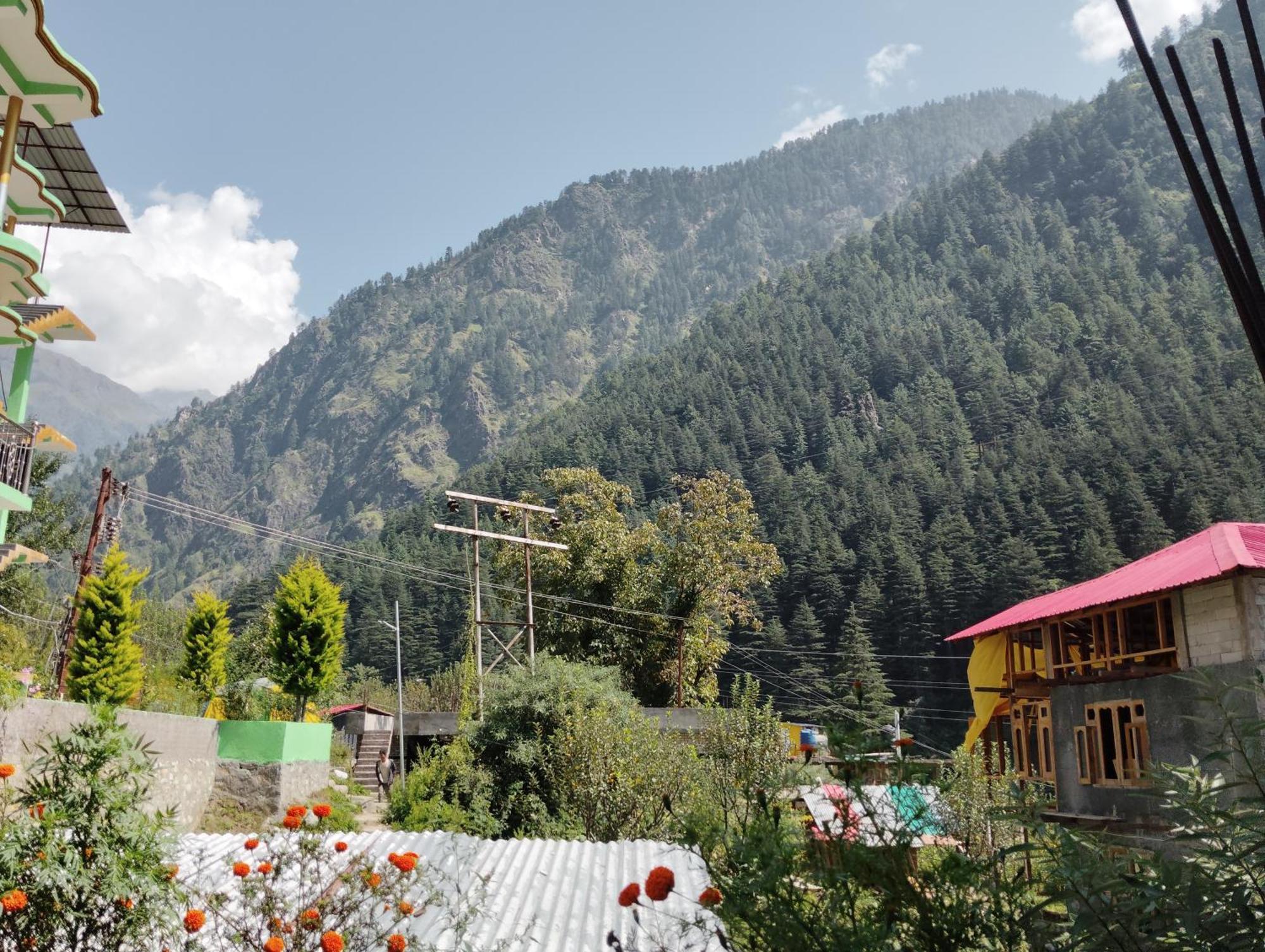 Hotel Dog N Hill Kasol Zewnętrze zdjęcie