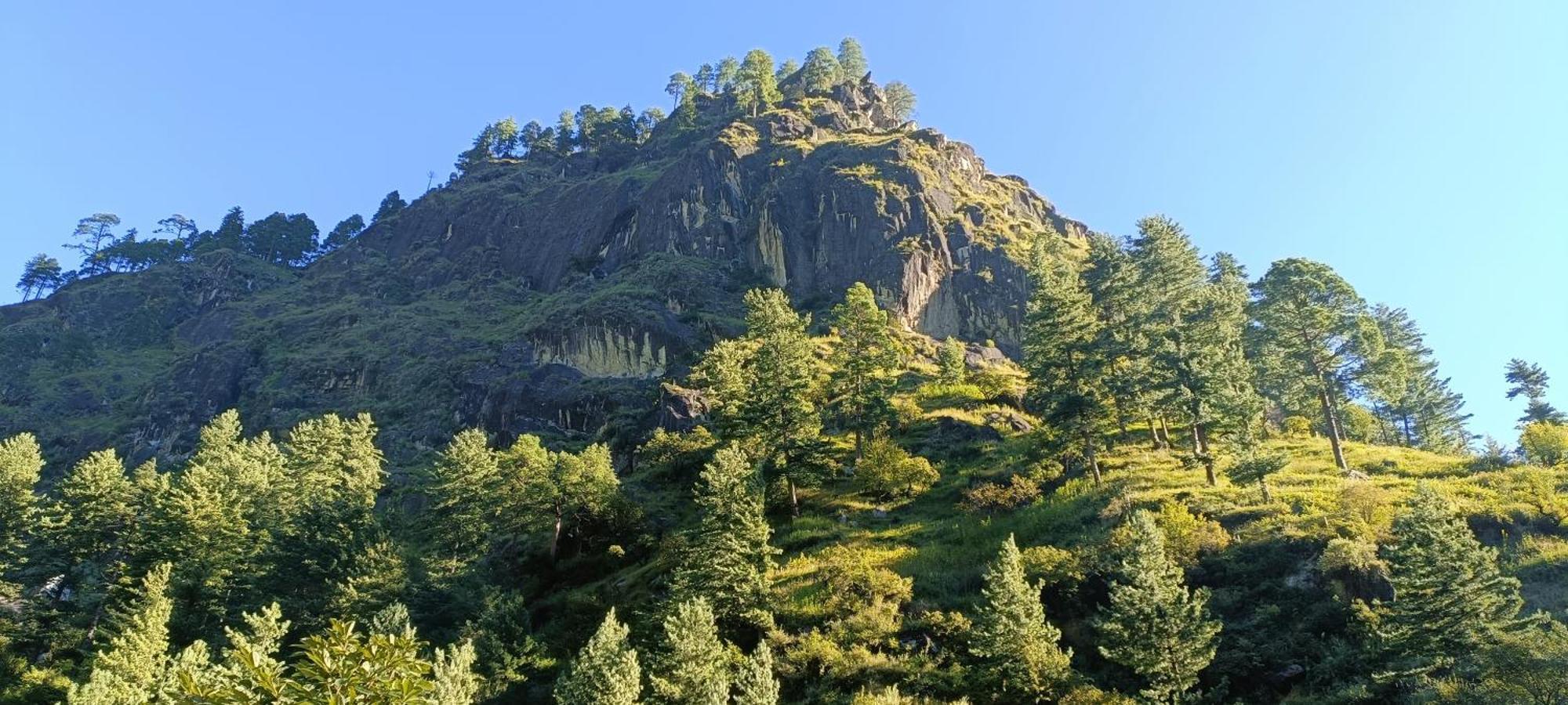 Hotel Dog N Hill Kasol Zewnętrze zdjęcie