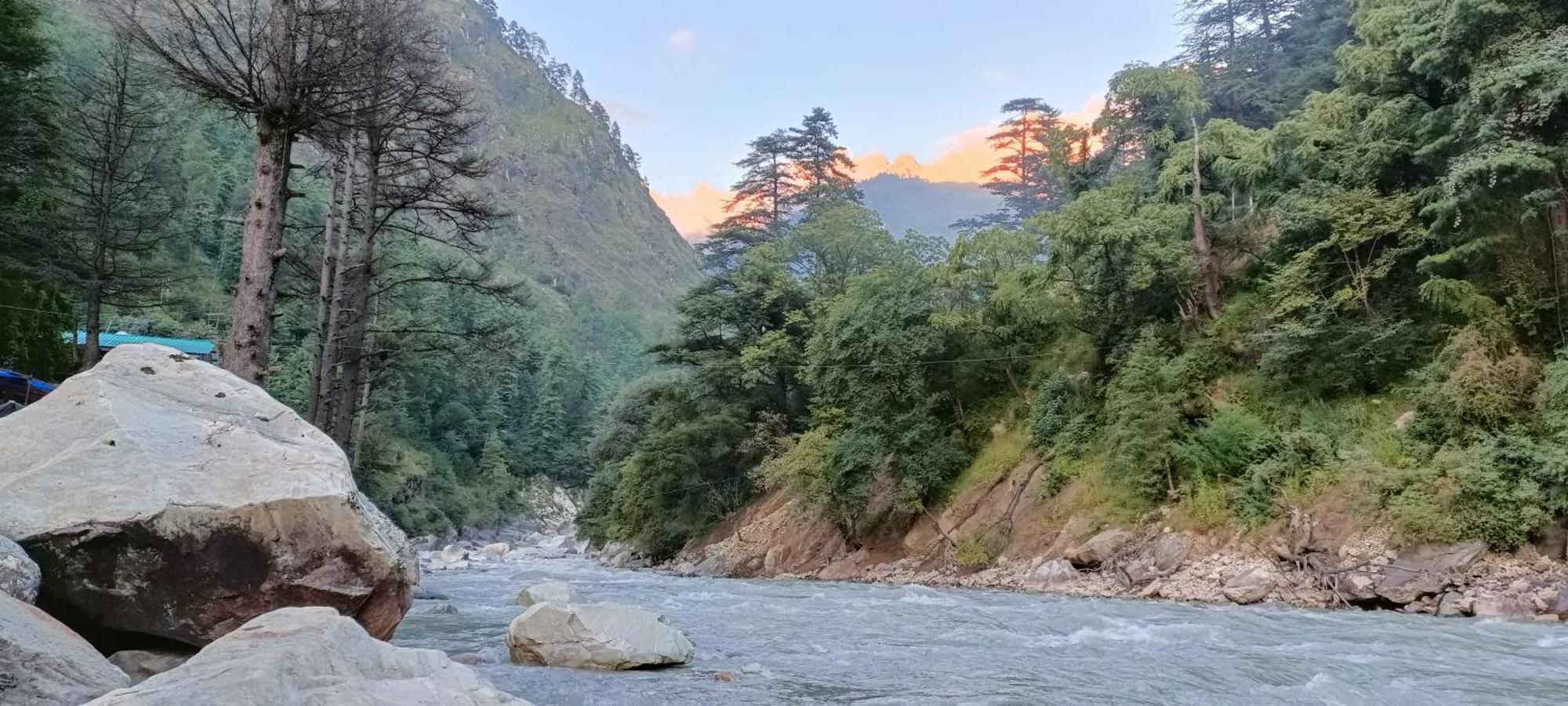 Hotel Dog N Hill Kasol Zewnętrze zdjęcie