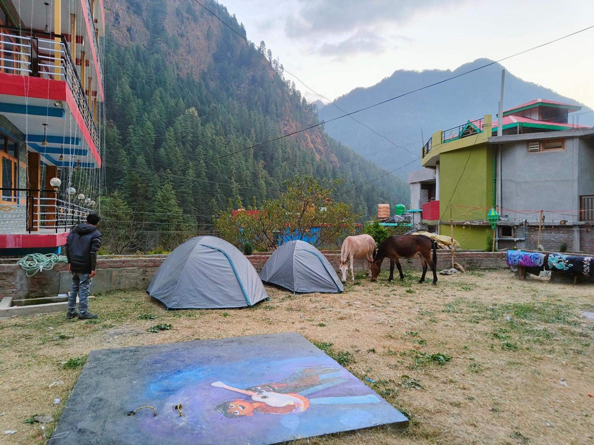 Hotel Dog N Hill Kasol Zewnętrze zdjęcie